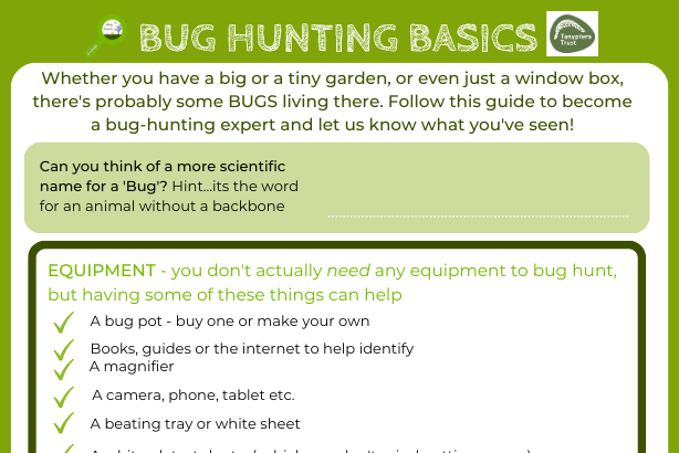 Bug hunting logo
