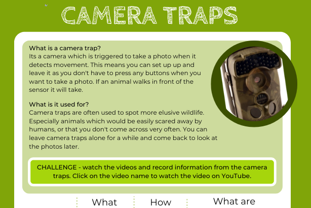 Camera traps logo