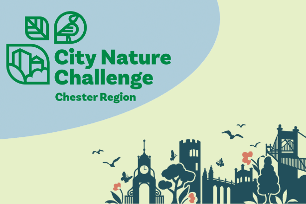 Chester City Nature Challenge