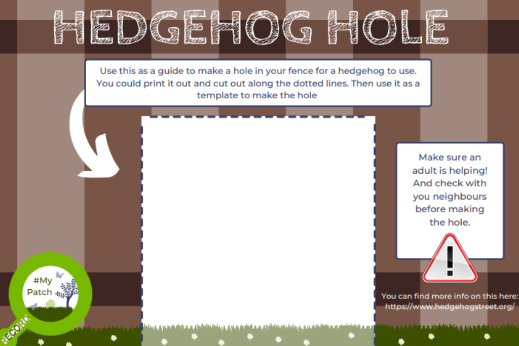 Hedgehog hole logo