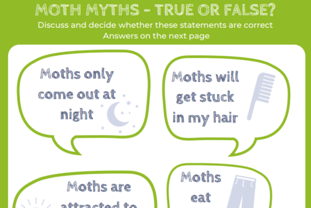 Moth myths logo