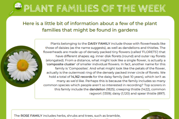 Plant families logo