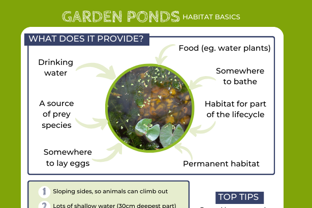 Garden pond logo